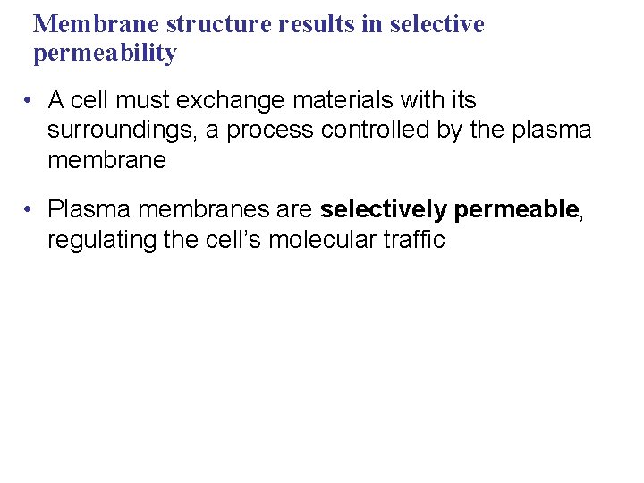 Membrane structure results in selective permeability • A cell must exchange materials with its