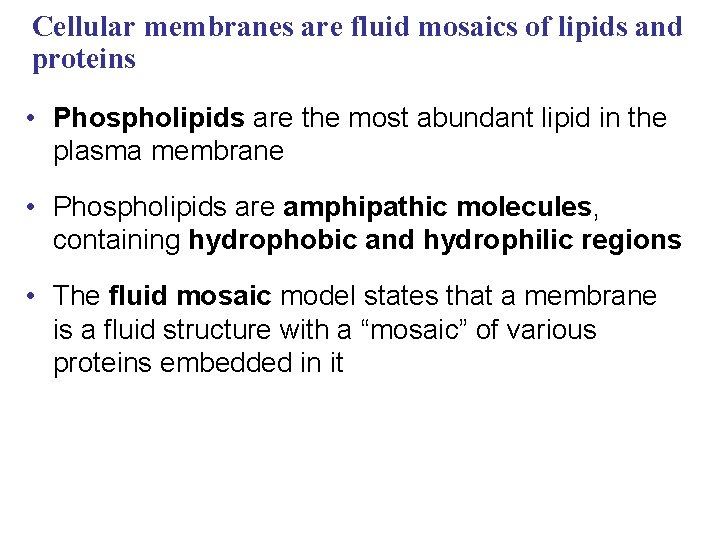 Cellular membranes are fluid mosaics of lipids and proteins • Phospholipids are the most