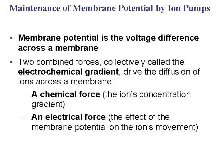 Maintenance of Membrane Potential by Ion Pumps • Membrane potential is the voltage difference