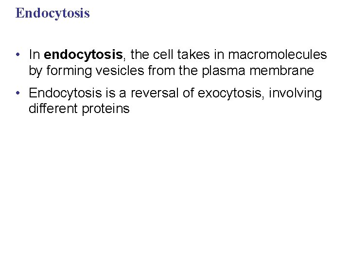 Endocytosis • In endocytosis, the cell takes in macromolecules by forming vesicles from the