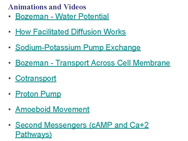 Animations and Videos • Bozeman - Water Potential • How Facilitated Diffusion Works •