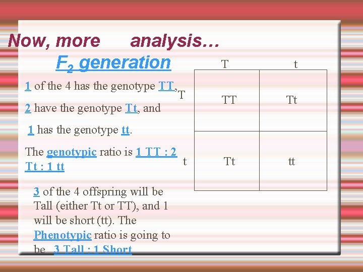 Now, more analysis… T F 2 generation 1 of the 4 has the genotype