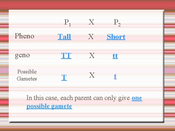 P 1 X P 2 Pheno Tall X Short geno TT X tt T