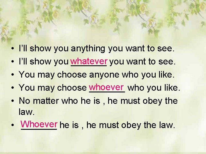  • • • I’ll show you anything you want to see. I’ll show