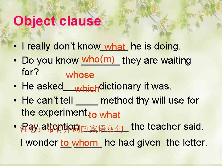 Object clause • I really don’t know_____ what he is doing. who(m) they are