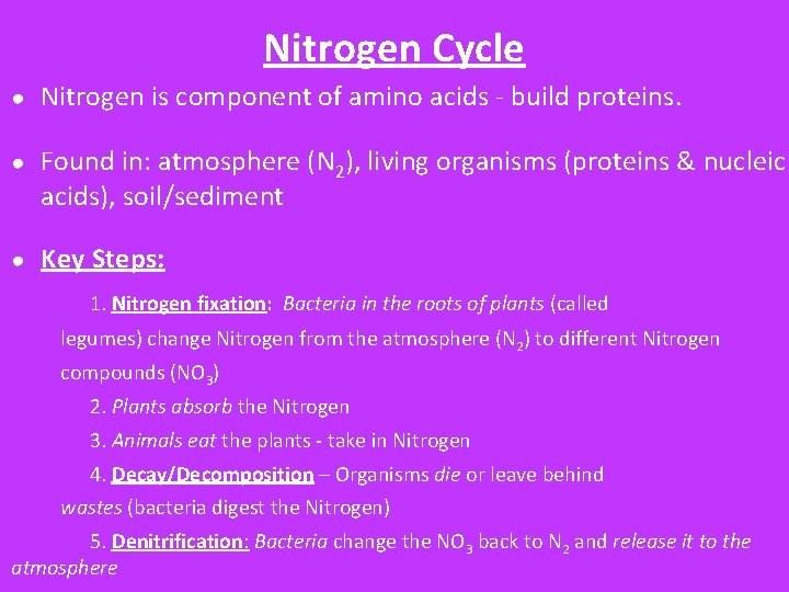 Nitrogen Cycle ● Nitrogen is component of amino acids - build proteins. ● Found