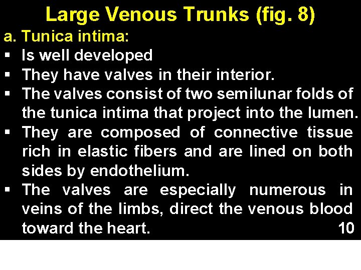 Large Venous Trunks (fig. 8) a. Tunica intima: § Is well developed § They