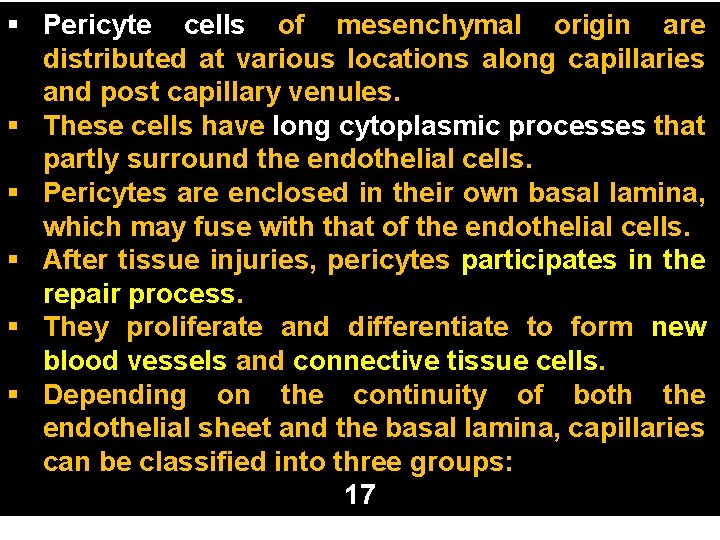 § Pericyte cells of mesenchymal origin are distributed at various locations along capillaries and