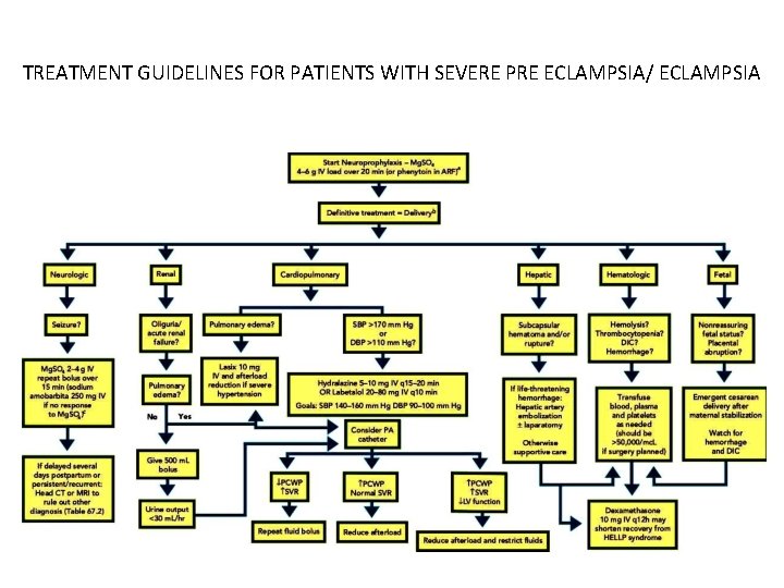 TREATMENT GUIDELINES FOR PATIENTS WITH SEVERE PRE ECLAMPSIA/ ECLAMPSIA 