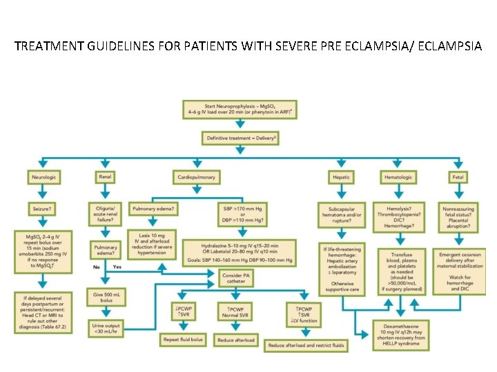 TREATMENT GUIDELINES FOR PATIENTS WITH SEVERE PRE ECLAMPSIA/ ECLAMPSIA 