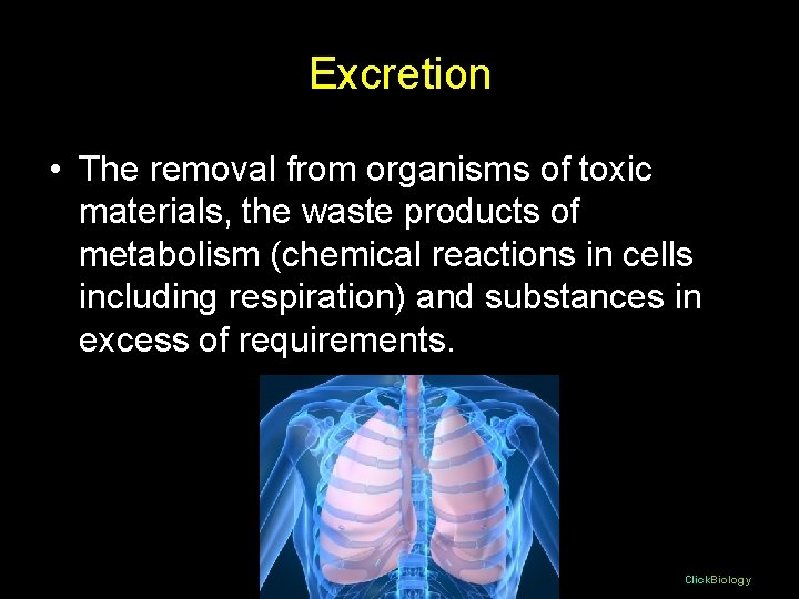 Excretion • The removal from organisms of toxic materials, the waste products of metabolism