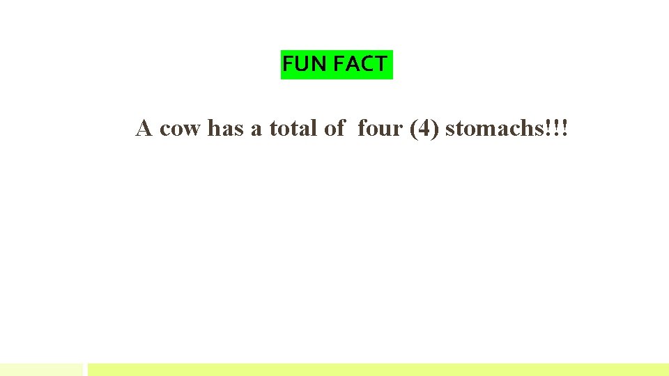 FUN FACT A cow has a total of four (4) stomachs!!! 