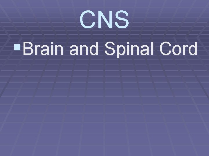 CNS §Brain and Spinal Cord 