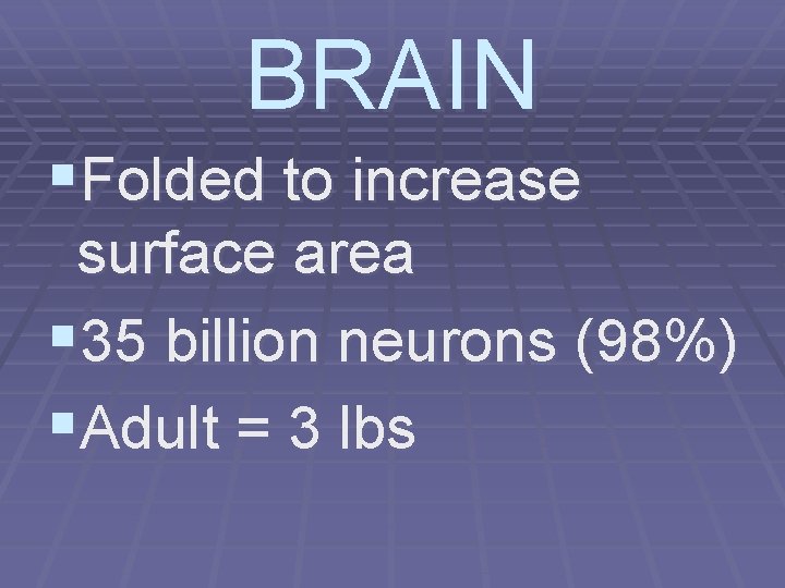 BRAIN §Folded to increase surface area § 35 billion neurons (98%) §Adult = 3