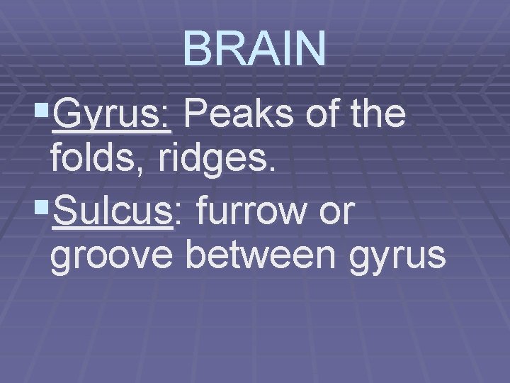 BRAIN §Gyrus: Peaks of the folds, ridges. §Sulcus: furrow or groove between gyrus 