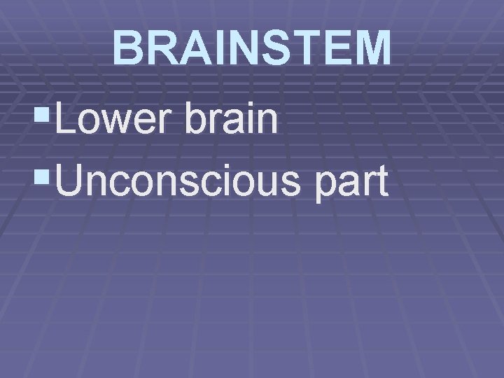 BRAINSTEM §Lower brain §Unconscious part 