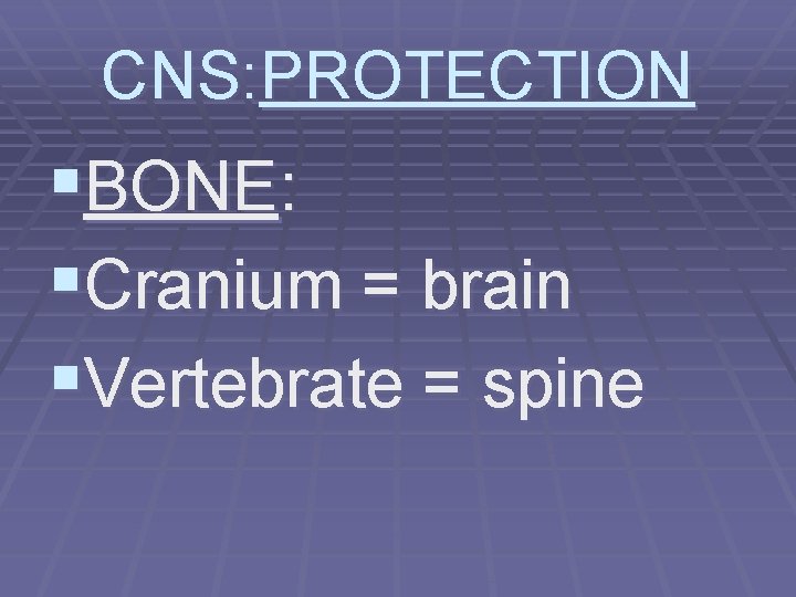 CNS: PROTECTION §BONE: §Cranium = brain §Vertebrate = spine 