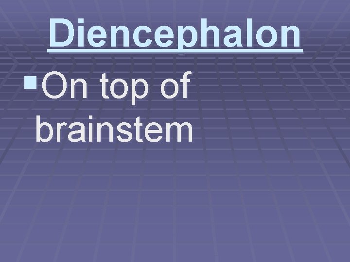 Diencephalon §On top of brainstem 