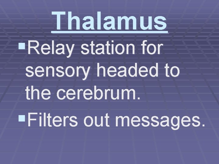 Thalamus §Relay station for sensory headed to the cerebrum. §Filters out messages. 