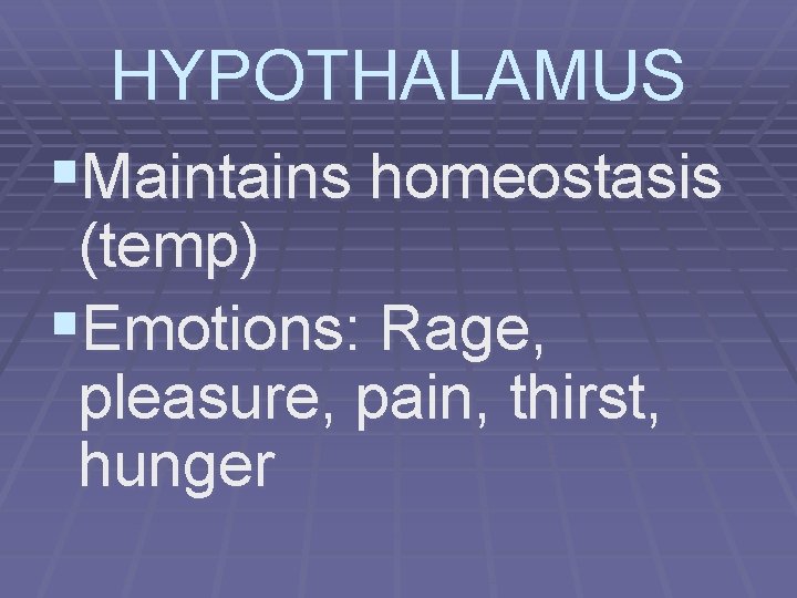 HYPOTHALAMUS §Maintains homeostasis (temp) §Emotions: Rage, pleasure, pain, thirst, hunger 