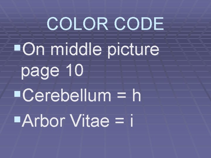 COLOR CODE §On middle picture page 10 §Cerebellum = h §Arbor Vitae = i