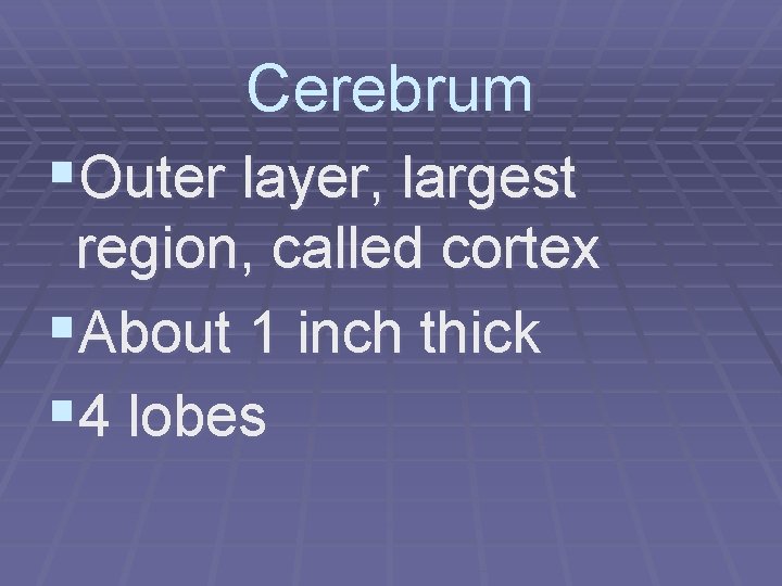 Cerebrum §Outer layer, largest region, called cortex §About 1 inch thick § 4 lobes