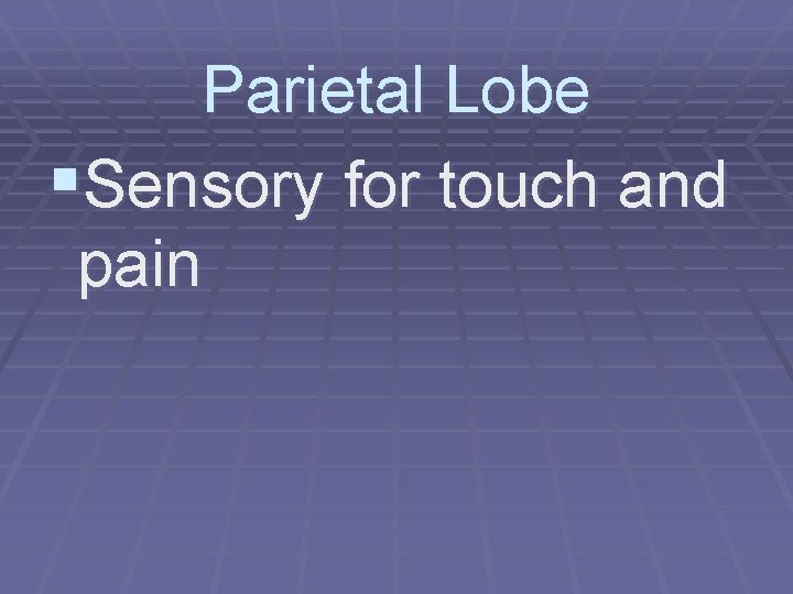 Parietal Lobe §Sensory for touch and pain 