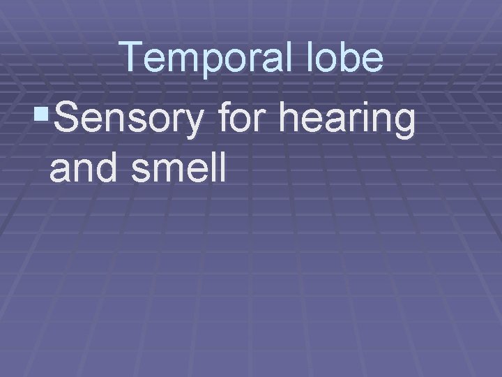 Temporal lobe §Sensory for hearing and smell 