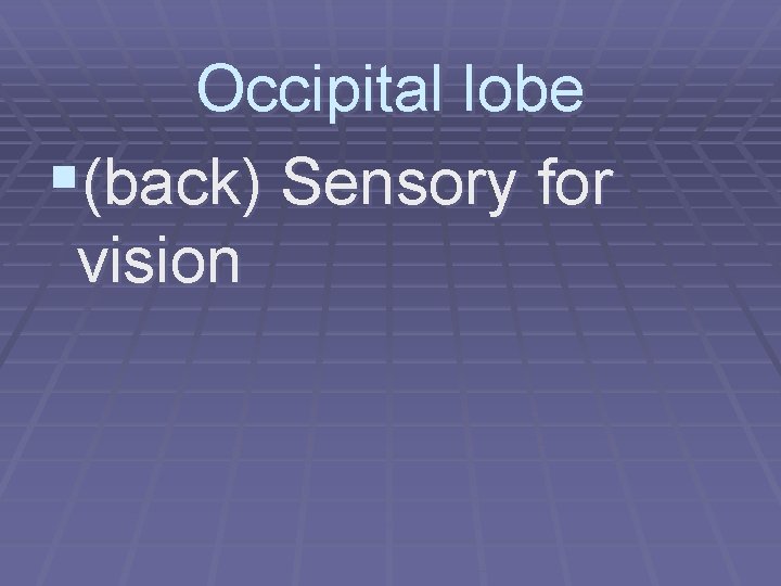 Occipital lobe §(back) Sensory for vision 