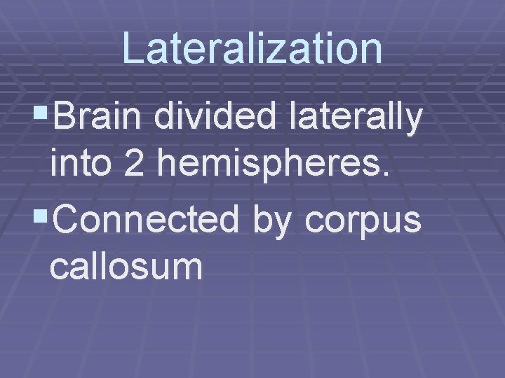 Lateralization §Brain divided laterally into 2 hemispheres. §Connected by corpus callosum 