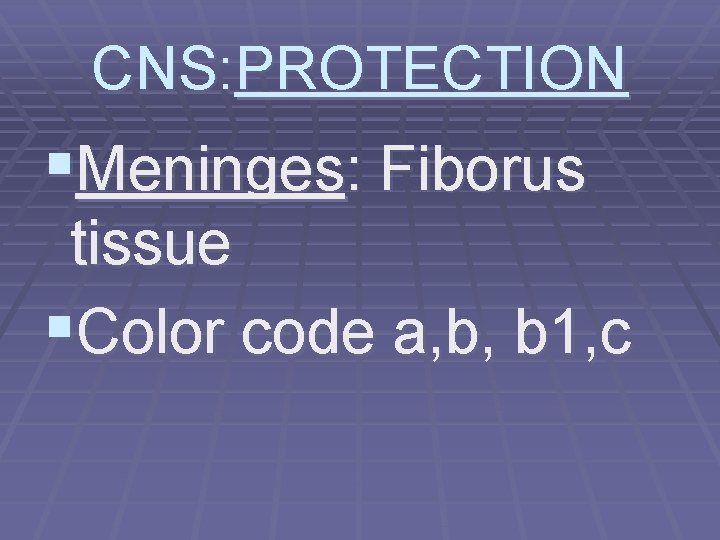 CNS: PROTECTION §Meninges: Fiborus tissue §Color code a, b, b 1, c 