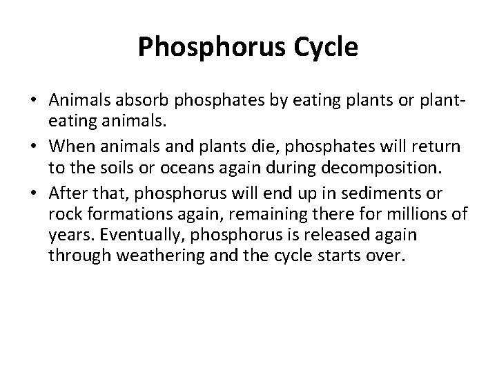 Phosphorus Cycle • Animals absorb phosphates by eating plants or planteating animals. • When