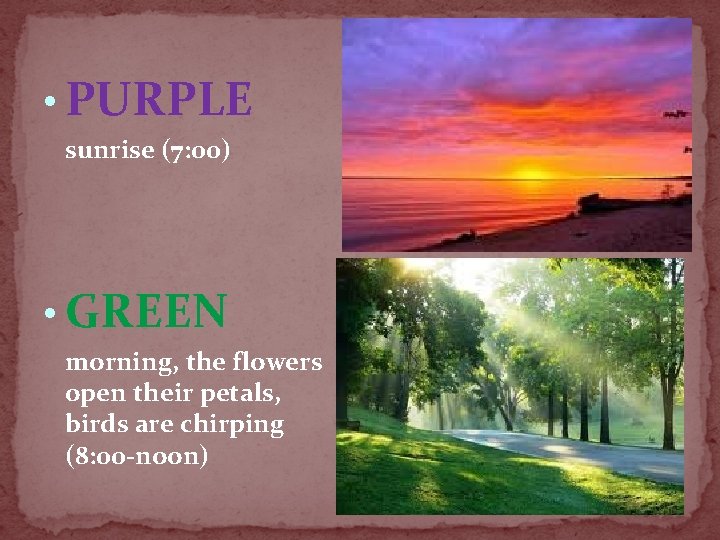  • PURPLE sunrise (7: 00) • GREEN morning, the flowers open their petals,