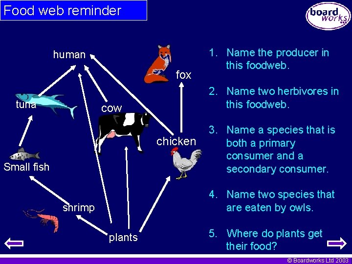 Food web reminder human fox tuna 2. Name two herbivores in this foodweb. cow