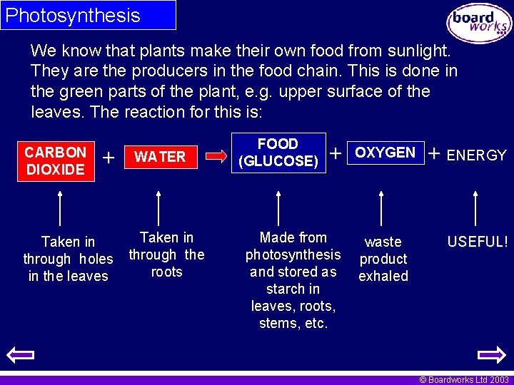 Photosynthesis We know that plants make their own food from sunlight. They are the