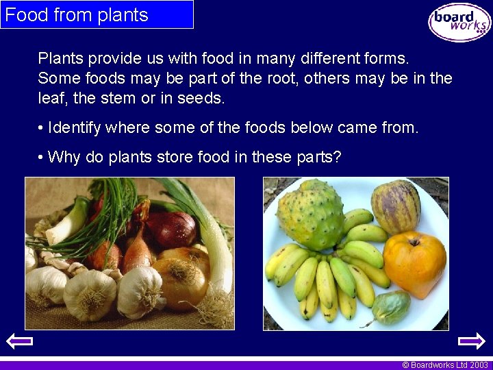 Food from plants Plants provide us with food in many different forms. Some foods