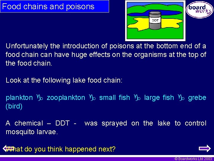 Food chains and poisons Unfortunately the introduction of poisons at the bottom end of