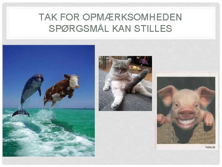 TAK FOR OPMÆRKSOMHEDEN SPØRGSMÅL KAN STILLES 