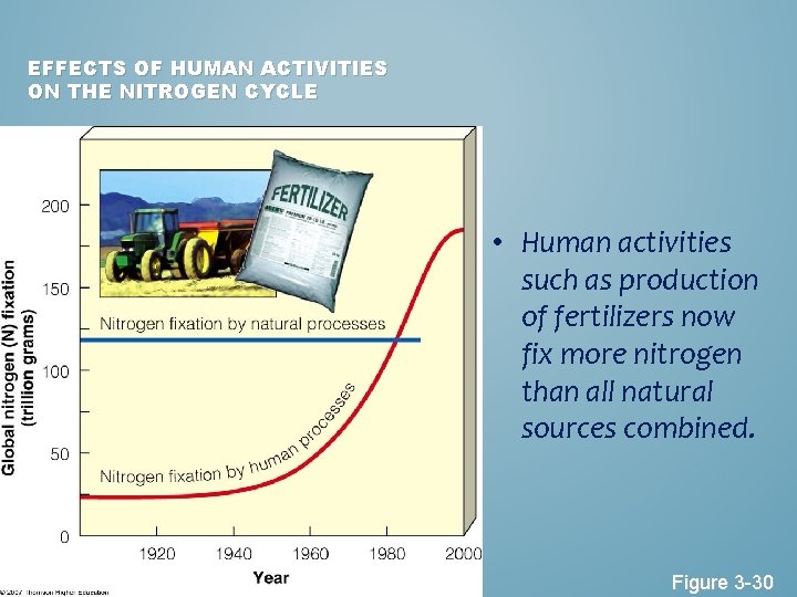 EFFECTS OF HUMAN ACTIVITIES ON THE NITROGEN CYCLE • Human activities such as production