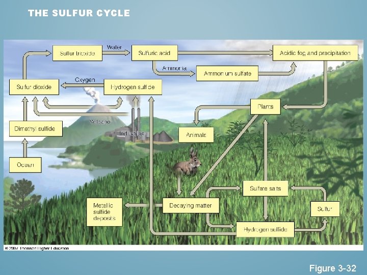 THE SULFUR CYCLE Figure 3 -32 