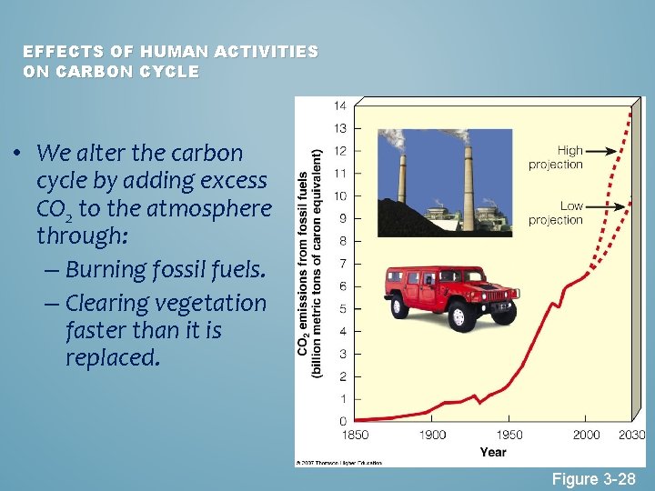 EFFECTS OF HUMAN ACTIVITIES ON CARBON CYCLE • We alter the carbon cycle by