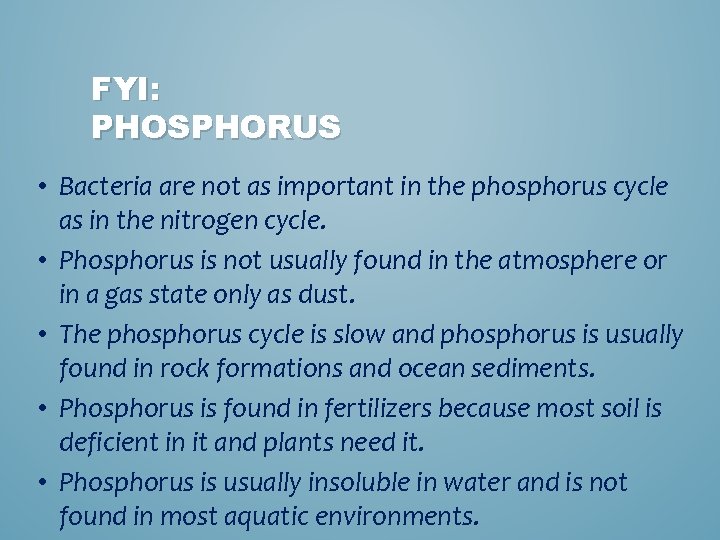 FYI: PHOSPHORUS • Bacteria are not as important in the phosphorus cycle as in