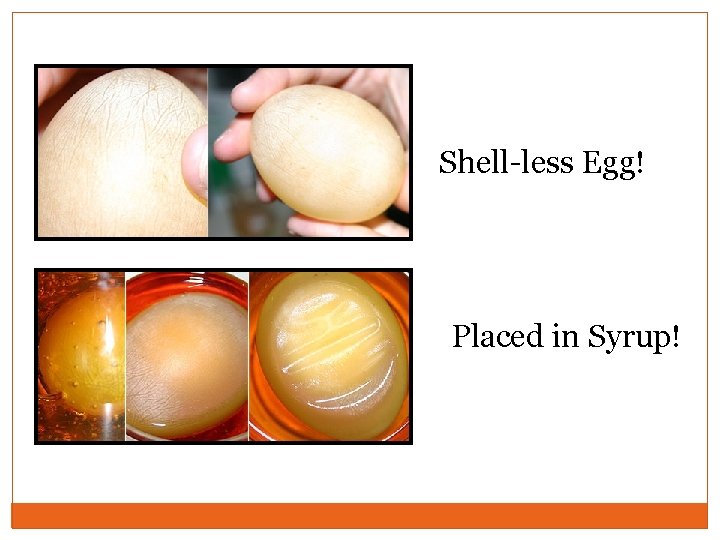 Shell-less Egg! Placed in Syrup! 