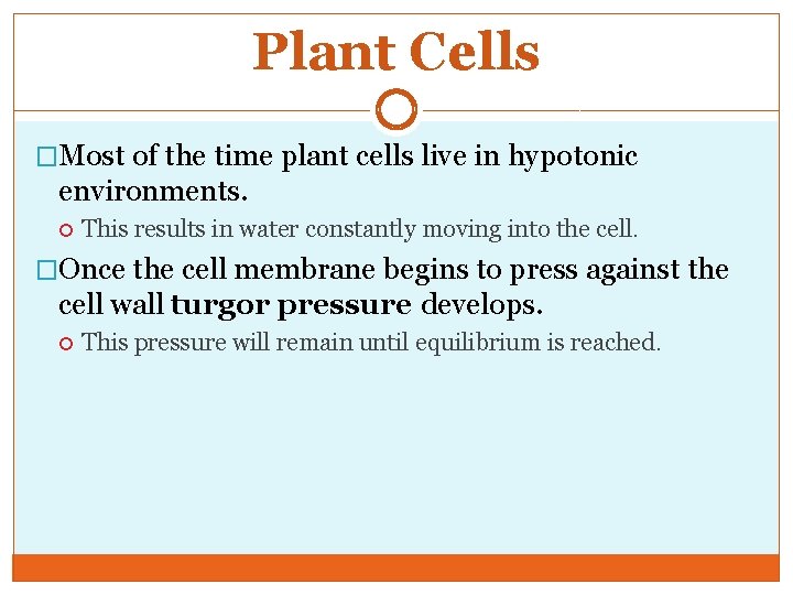 Plant Cells �Most of the time plant cells live in hypotonic environments. This results