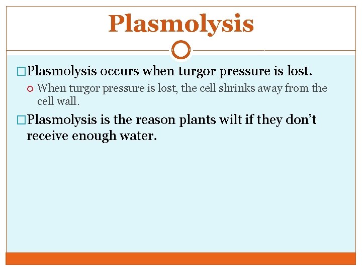 Plasmolysis �Plasmolysis occurs when turgor pressure is lost. When turgor pressure is lost, the