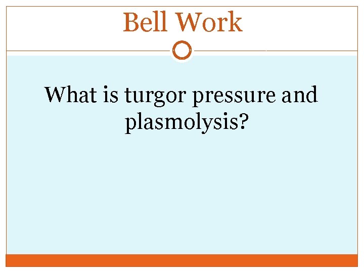 Bell Work What is turgor pressure and plasmolysis? 