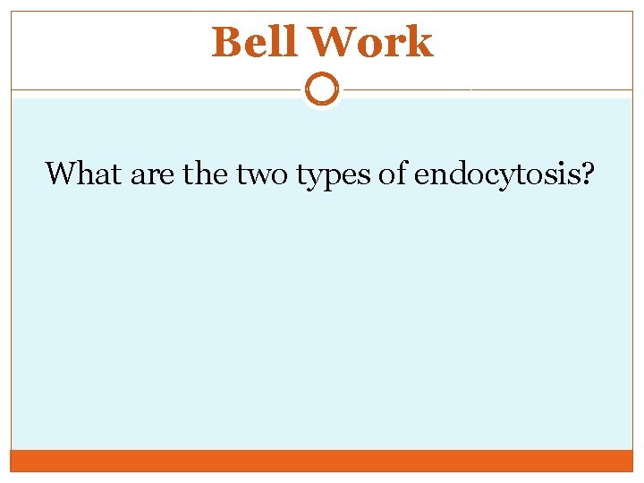 Bell Work What are the two types of endocytosis? 
