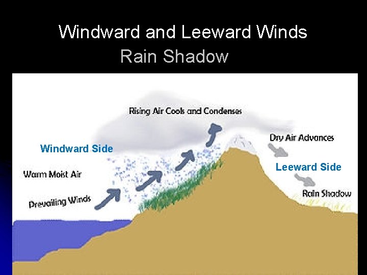 Windward and Leeward Winds Rain Shadow Windward Side Leeward Side 