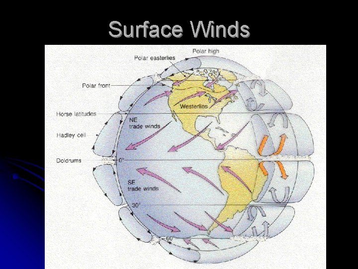Surface Winds 