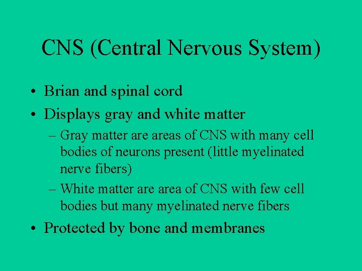 CNS (Central Nervous System) • Brian and spinal cord • Displays gray and white